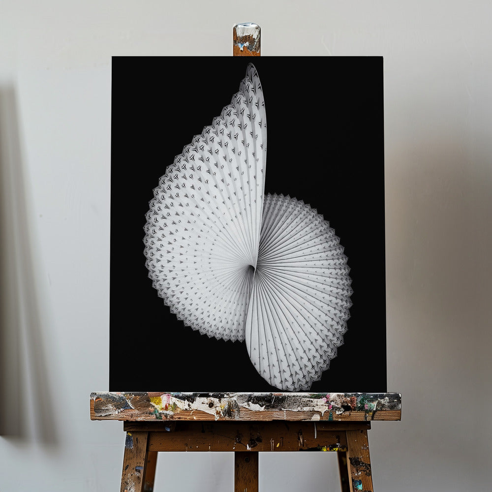 Nautilusliknande skulptur | Canvas