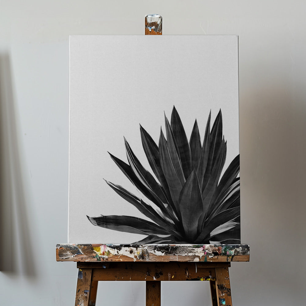 Cactus Agave Noir et Blanc | Toile