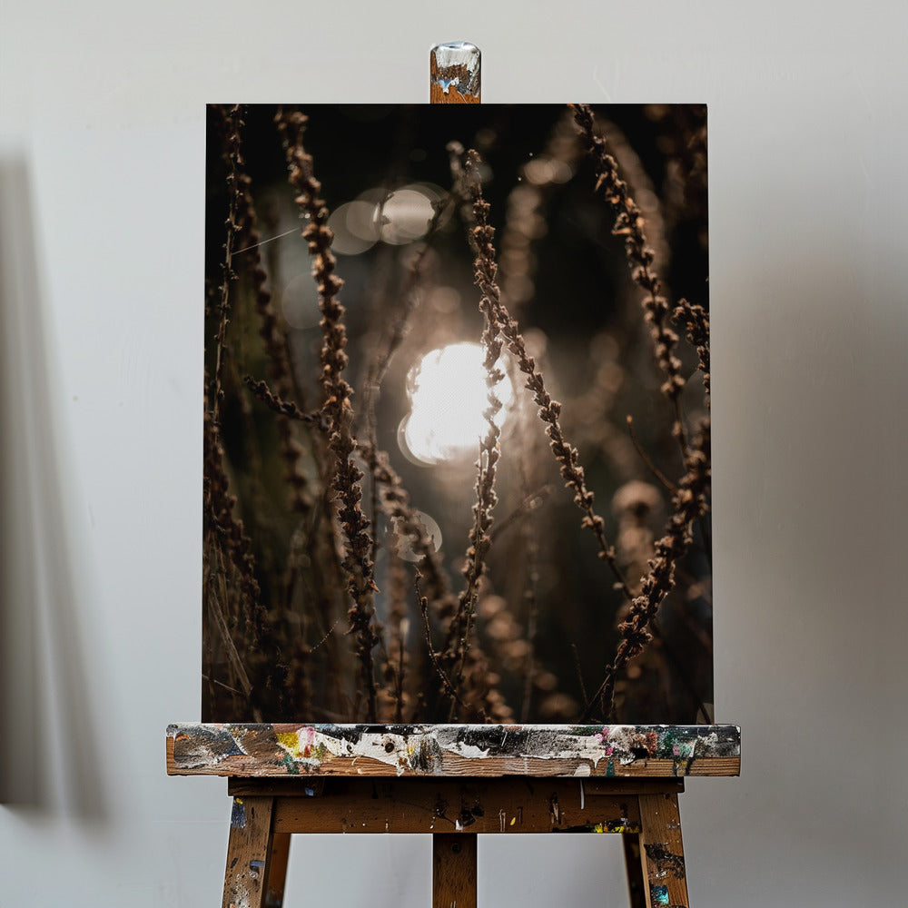 Luces de otoño 2 | Impresiones en Lienzo