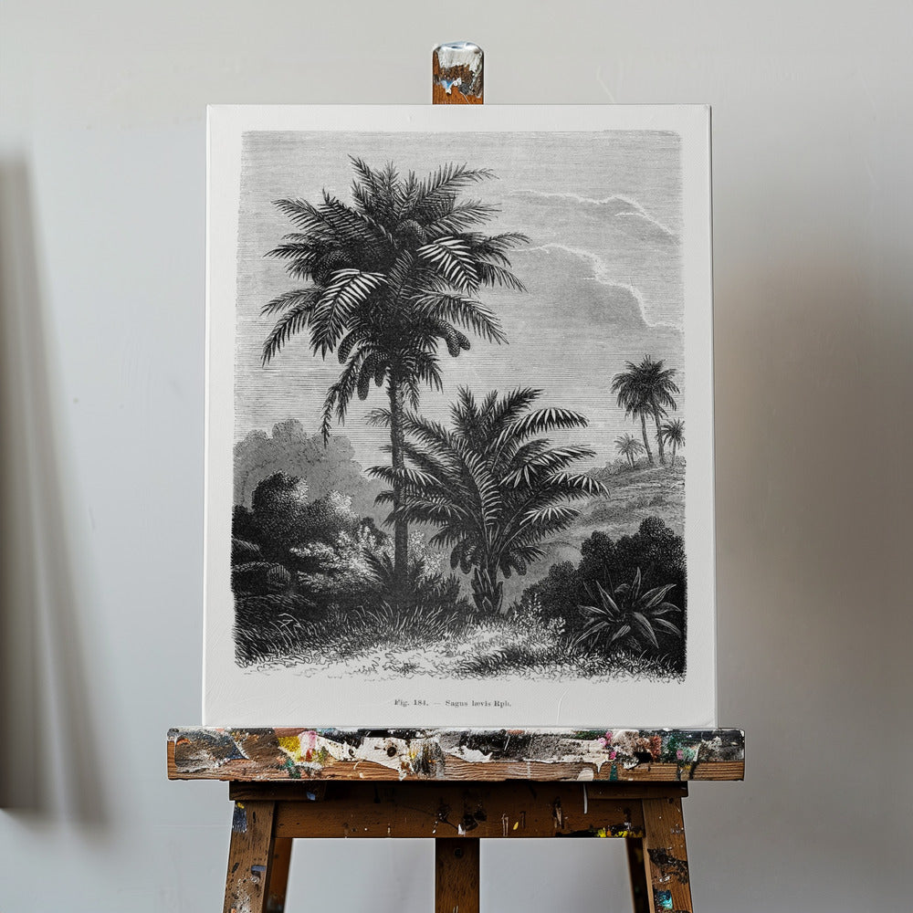 Dessin de palmier vintage V | Tableaux sur Toile