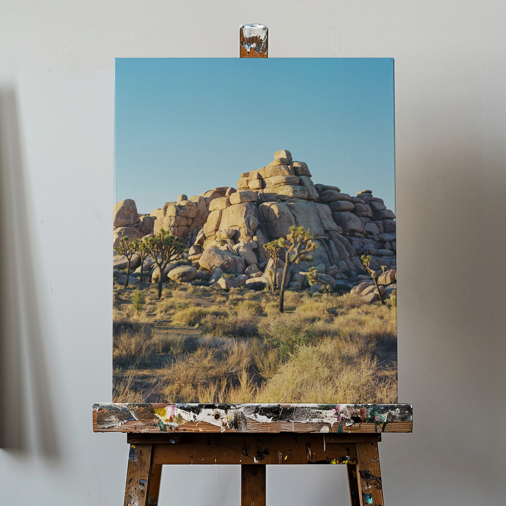 Tramonto a Joshua Tree | Stampe su Tela