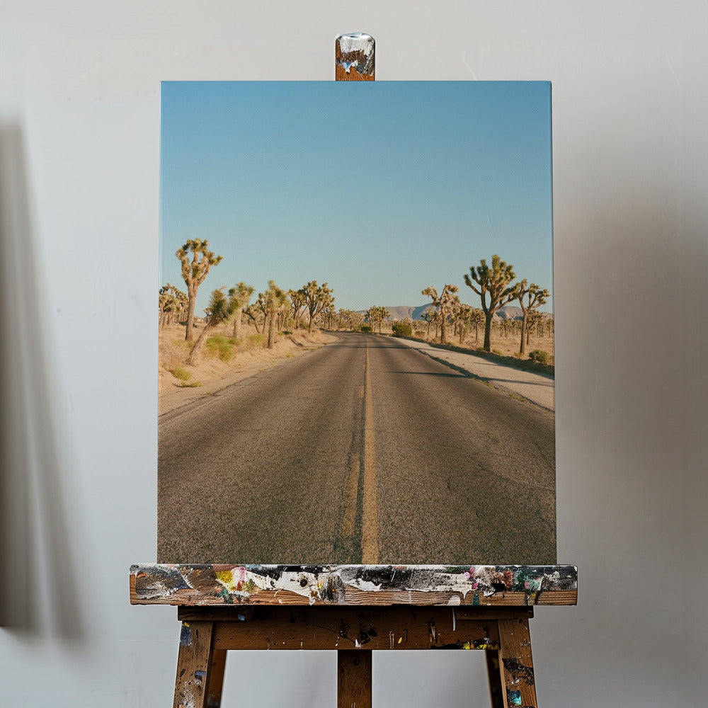 Joshua Tree Road II | Canvastaulut