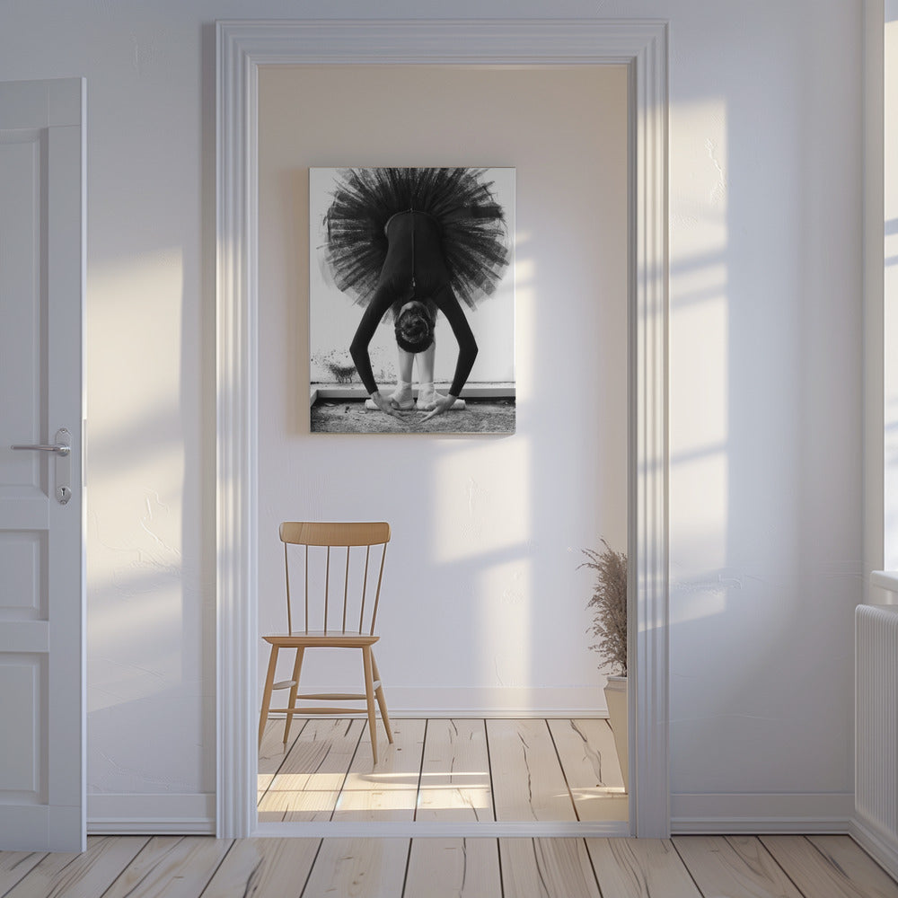 Ballerina | Canvas