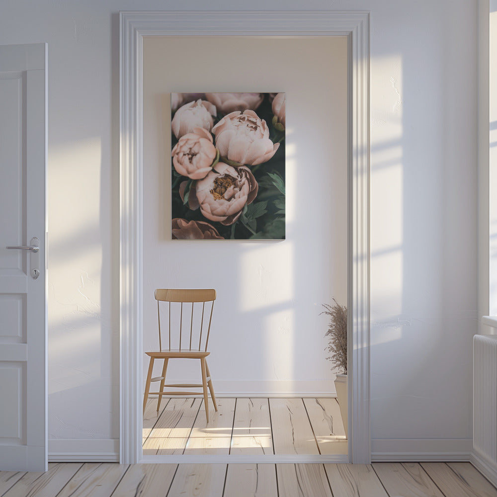 Koraalpioenrozen | Canvasprints