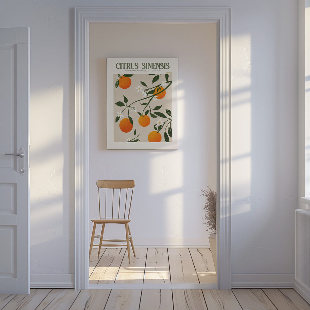 Citrus Sinensis - Apelsin | Canvas