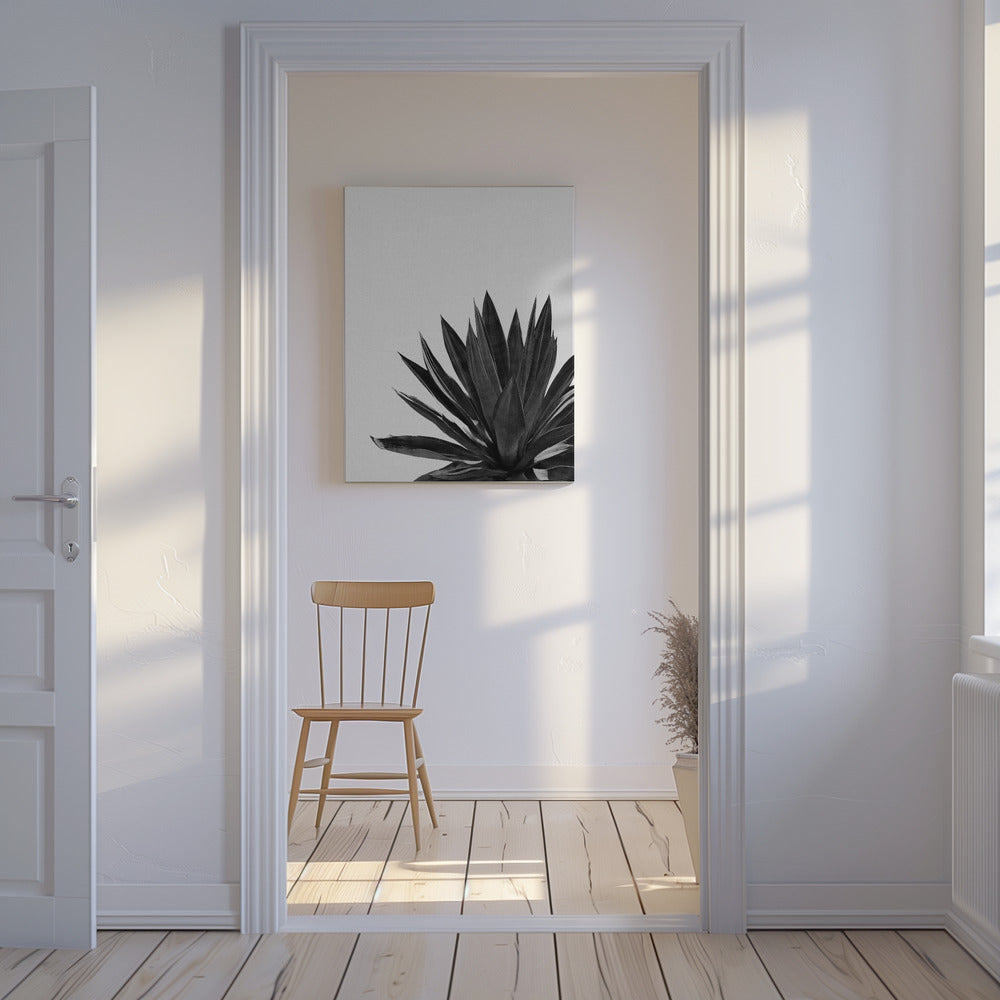 Cactus Agave Noir et Blanc | Toile