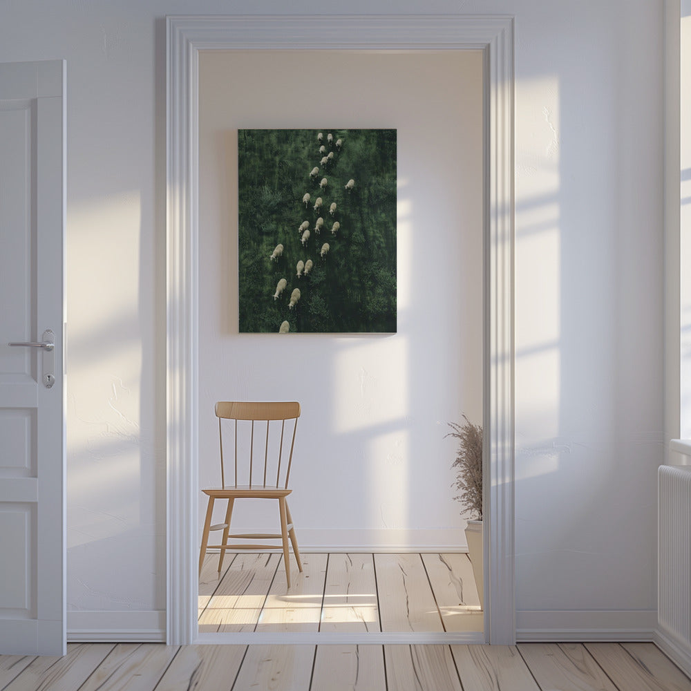 Sheep&#039;s Journey Home | Canvas