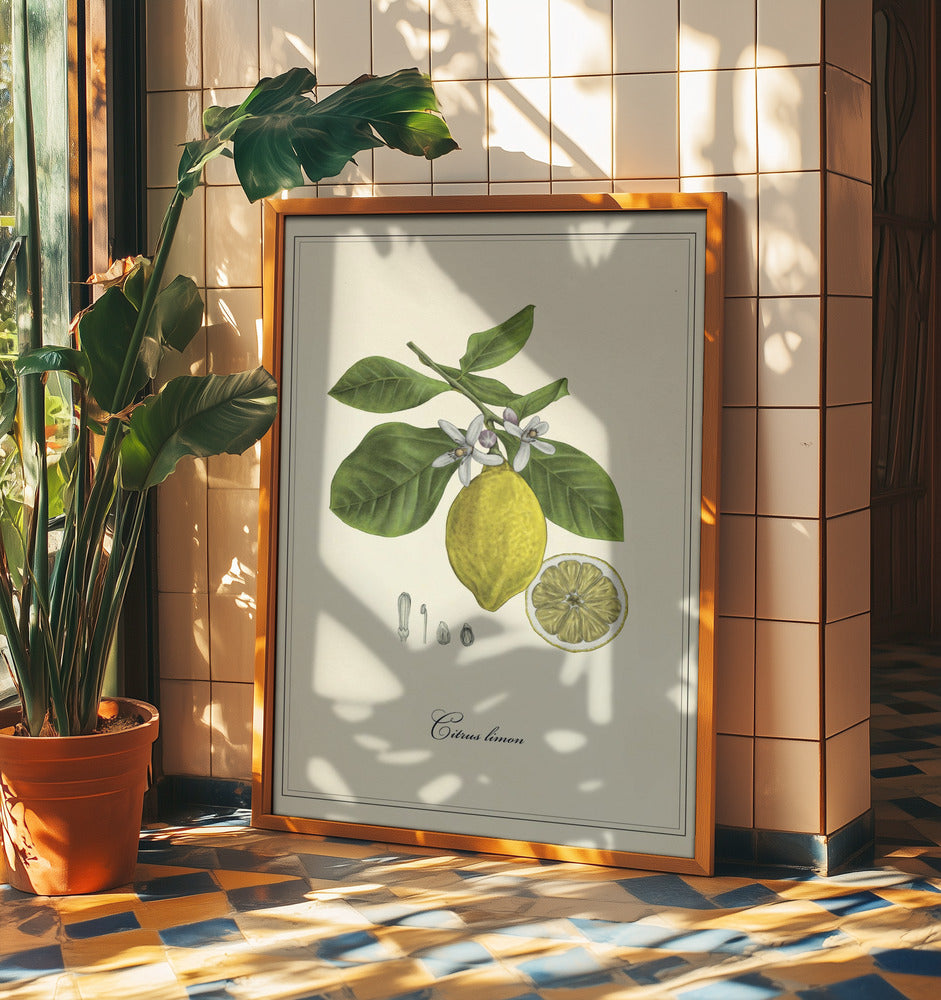 Lemon | Poster