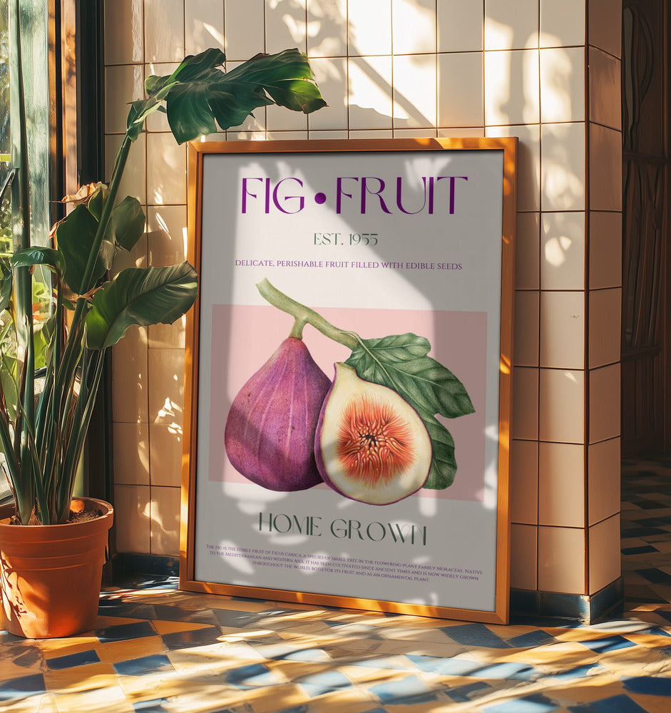 Vintage Fig Delight | Poster