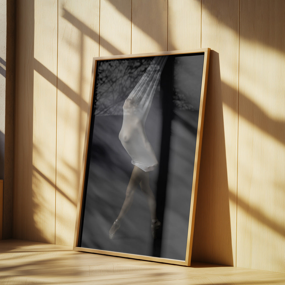 Sheer Stretch | Poster