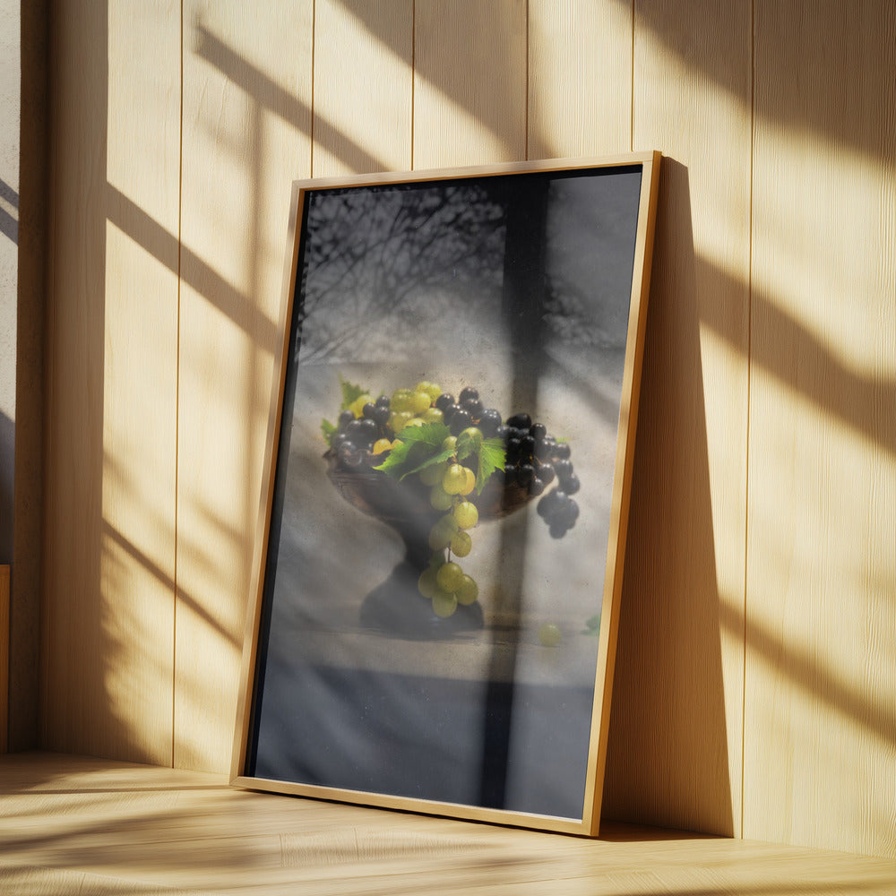 Trauben | Poster - Kunstdruck