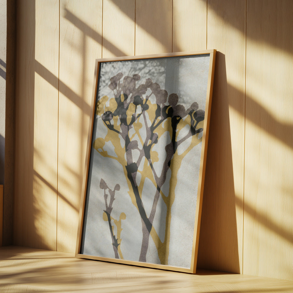 Echoes of Gypsophila | Poster
