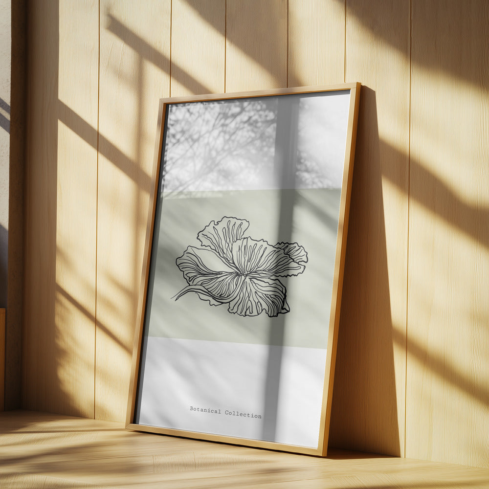 Gossamer Petals | Poster