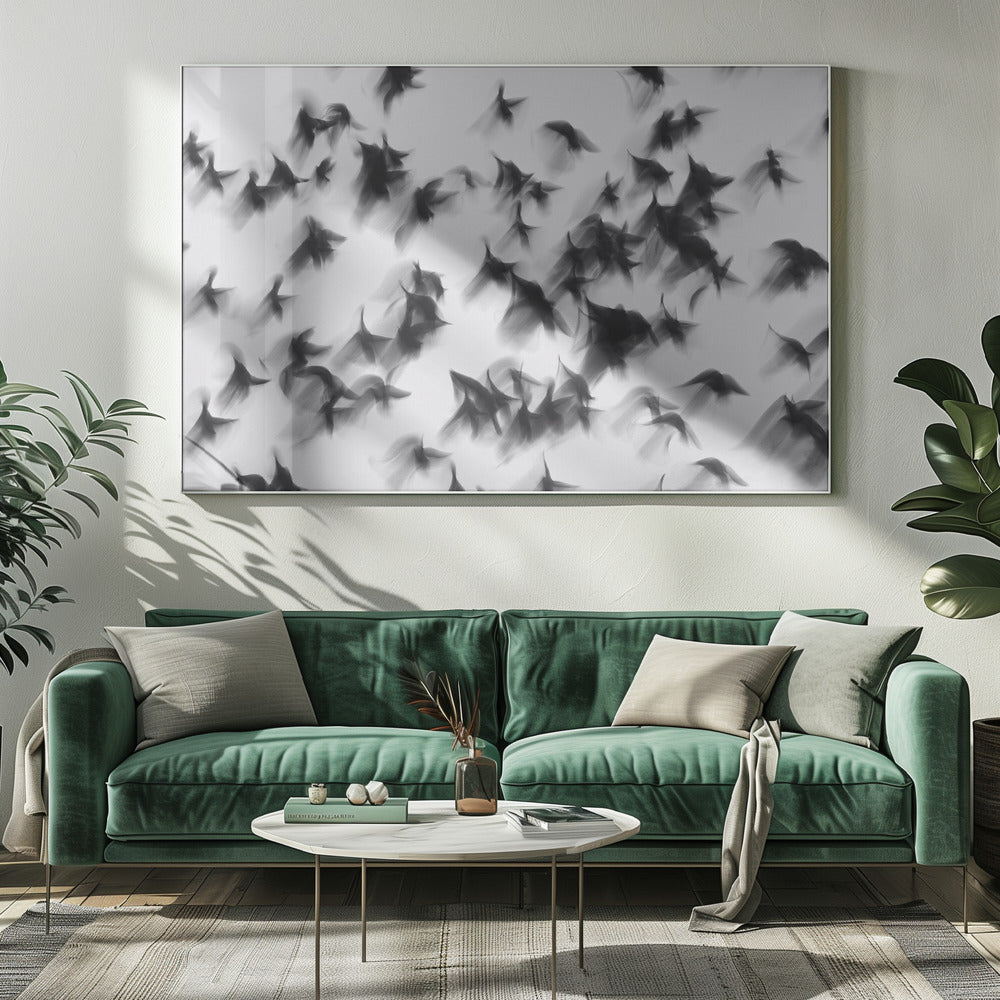 Birds | Canvas