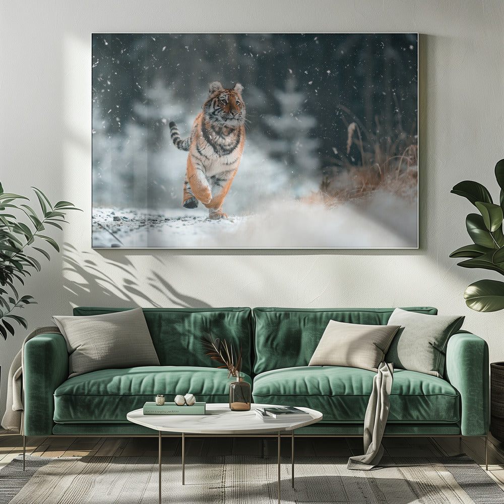 Den sibiriske tiger | Lærredsbilleder