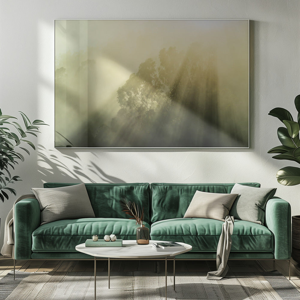 Bois brumeux III | Tableaux sur Toile