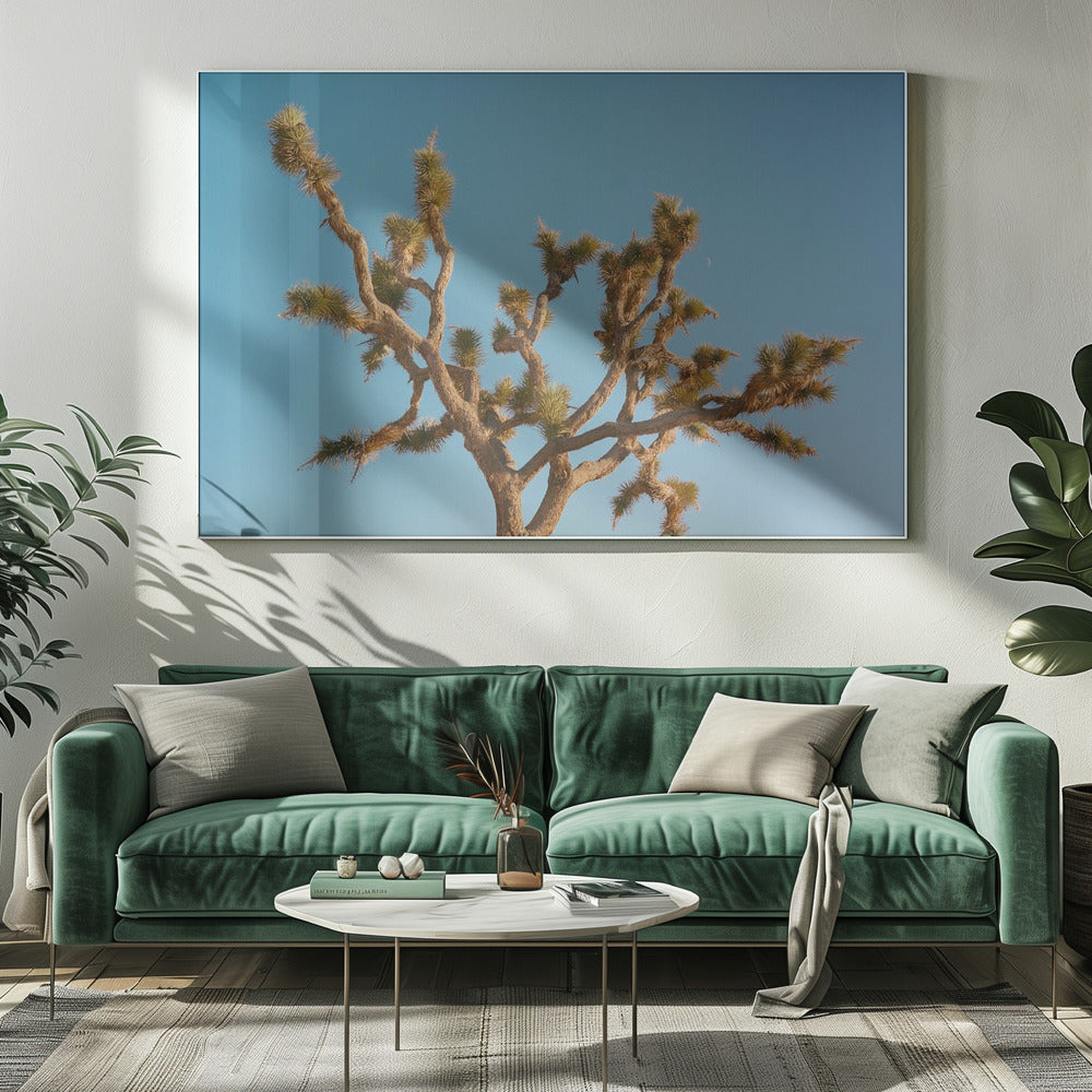 Joshua Tree Maan III | Canvasprints