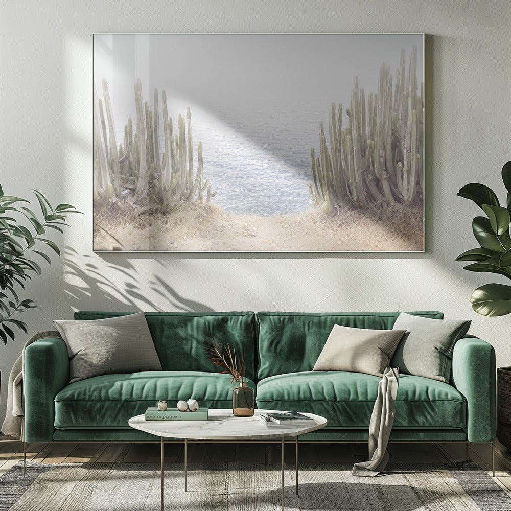 Havskaktus | Canvas