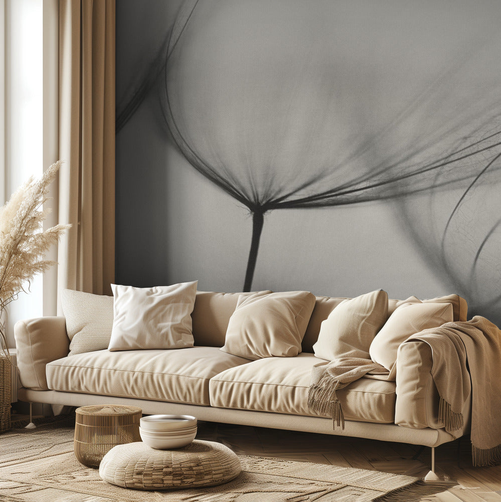 Tragopogon | Papier Peint Photo
