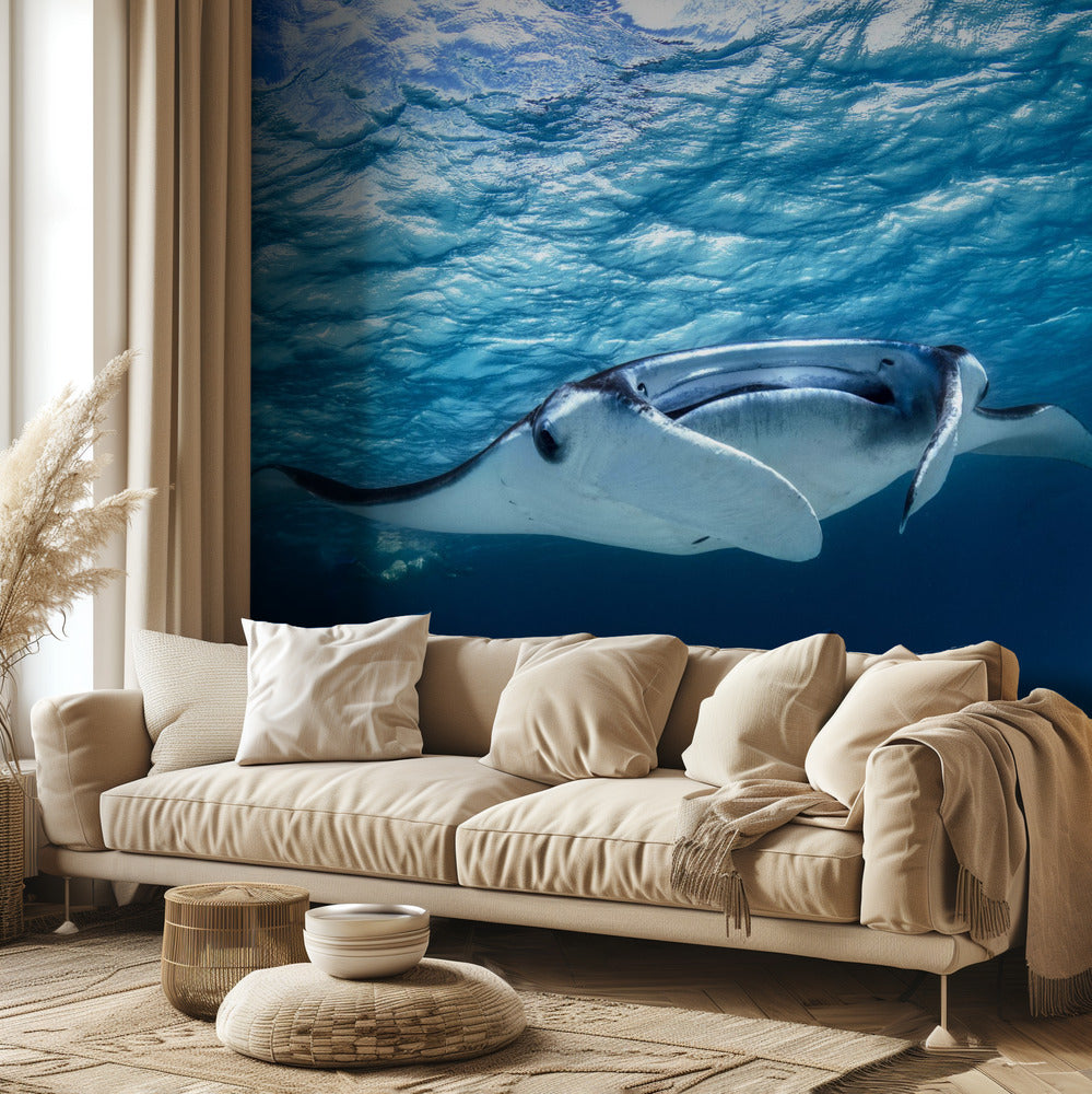 Mantas | Papel Pintado Fotográfico