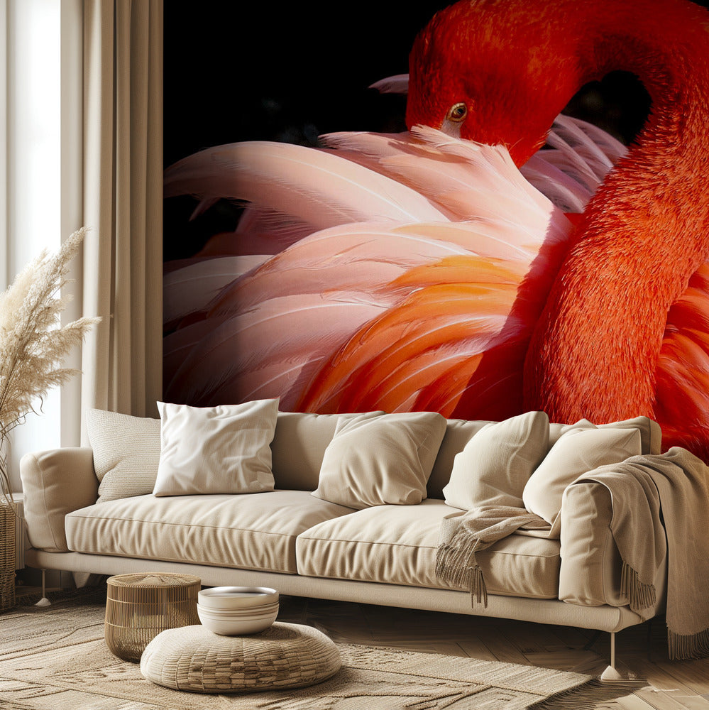 flamant rose | Papier Peint Photo