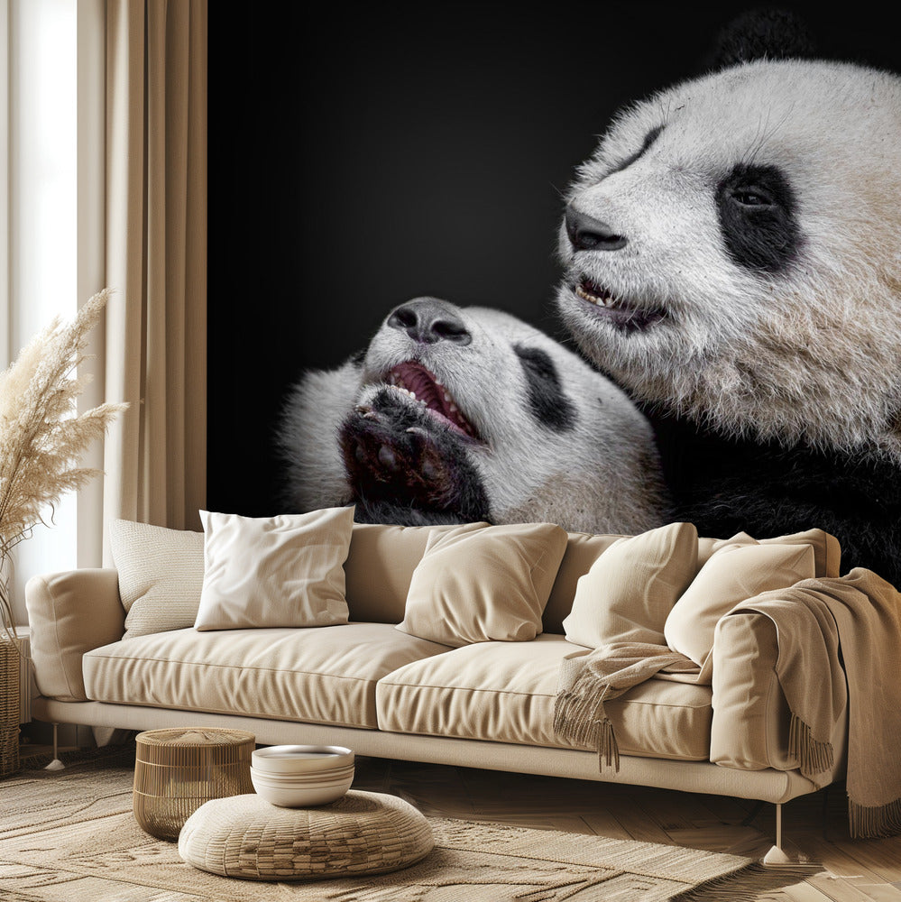 Pandas | Papier Peint Photo