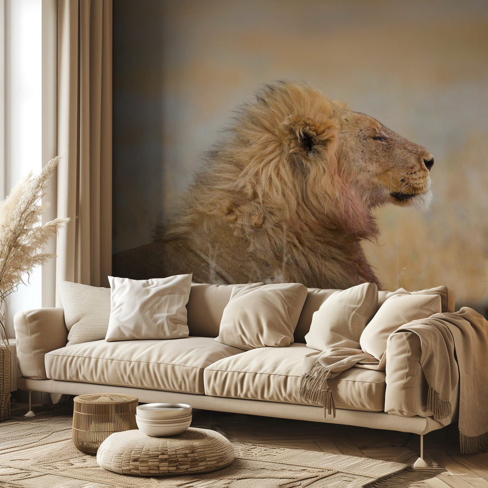 Lion mâle avec son petit | Papier Peint Photo