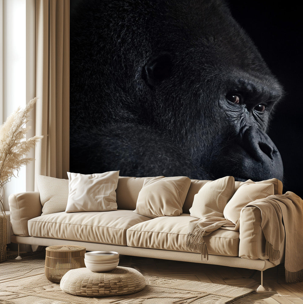 gorillablick | Fototapet