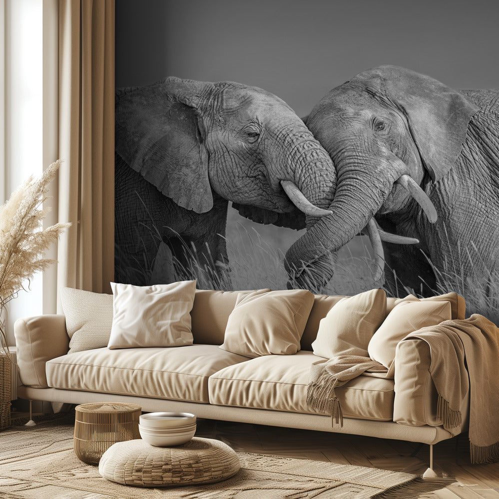 Vol d'éléphant | Papier Peint Photo