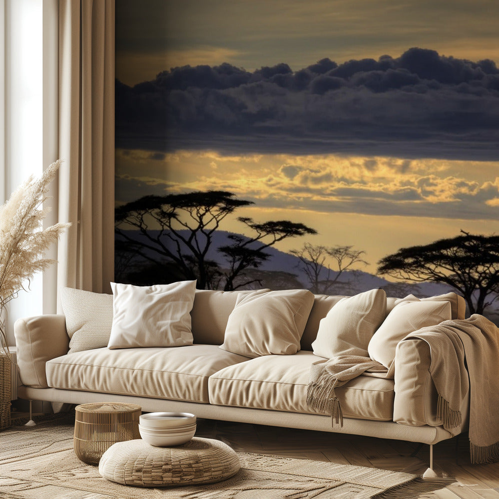Good evening tanazania | Wallpaper