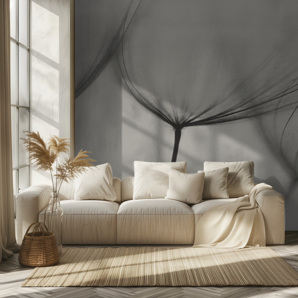 Tragopogon | Papier Peint Photo