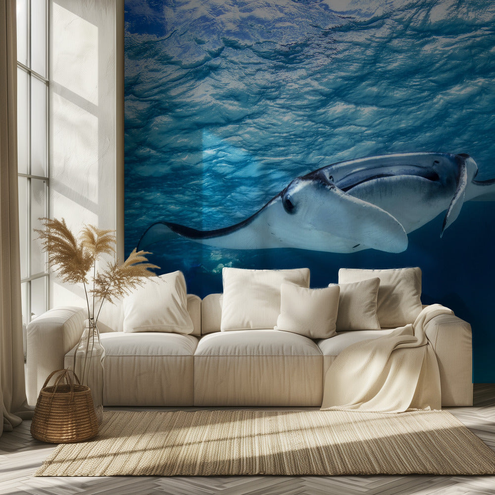 Mantas | Papel Pintado Fotográfico