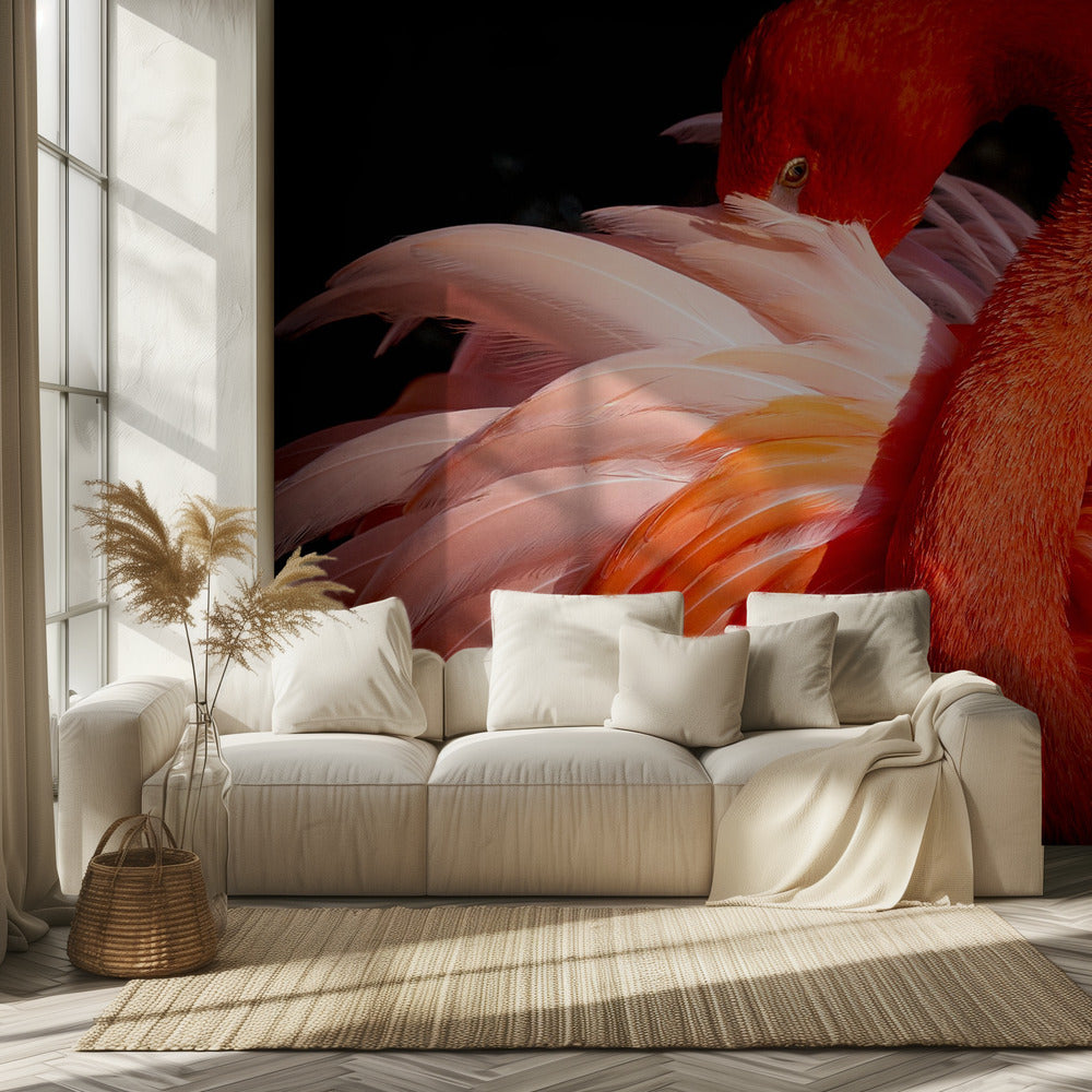 flamant rose | Papier Peint Photo