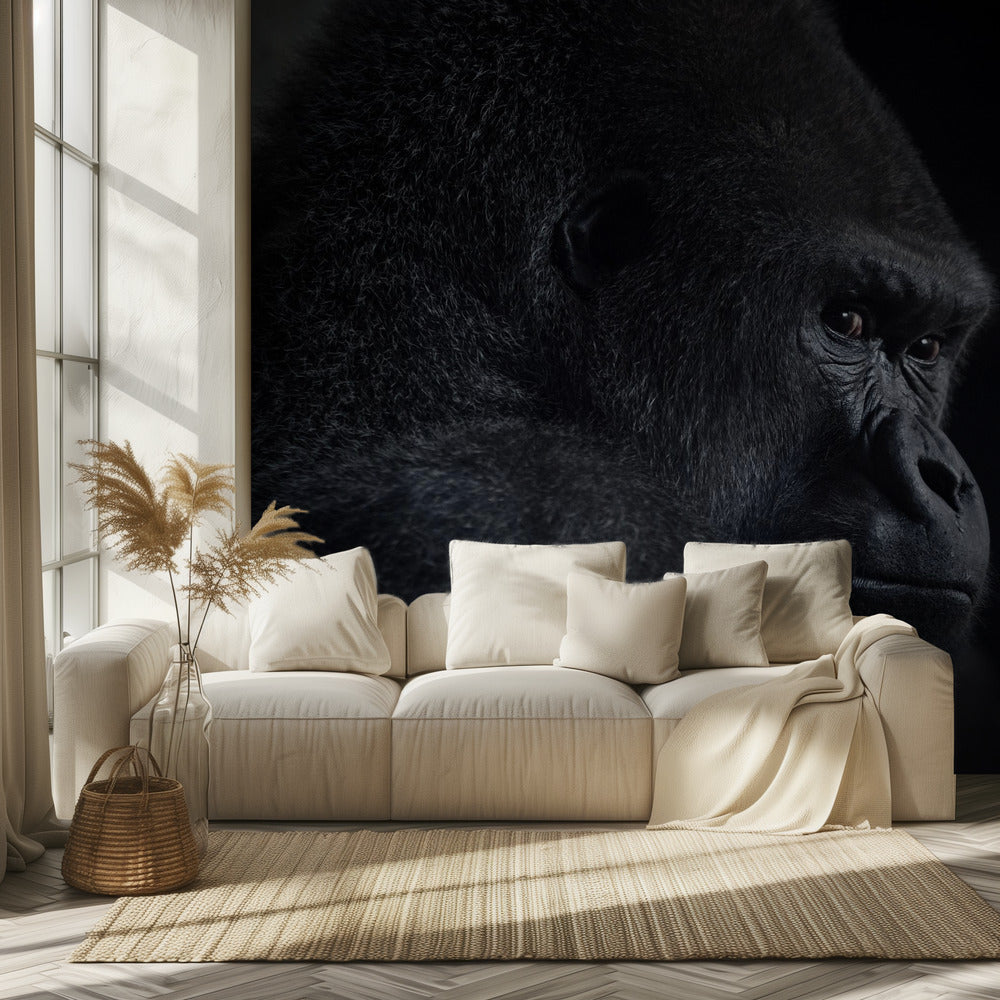 gorillablick | Fototapet