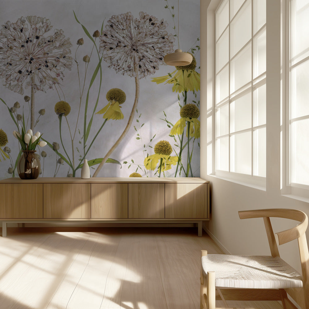 Allium und Helenium | Fototapeten