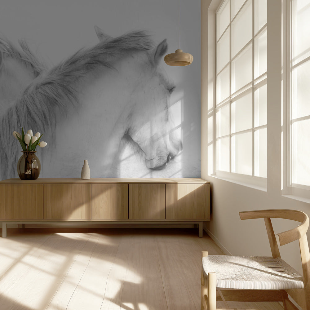 Horses | Wallpaper