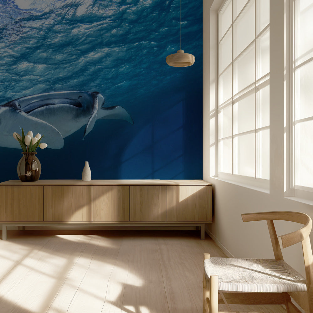 Mantas | Papel Pintado Fotográfico