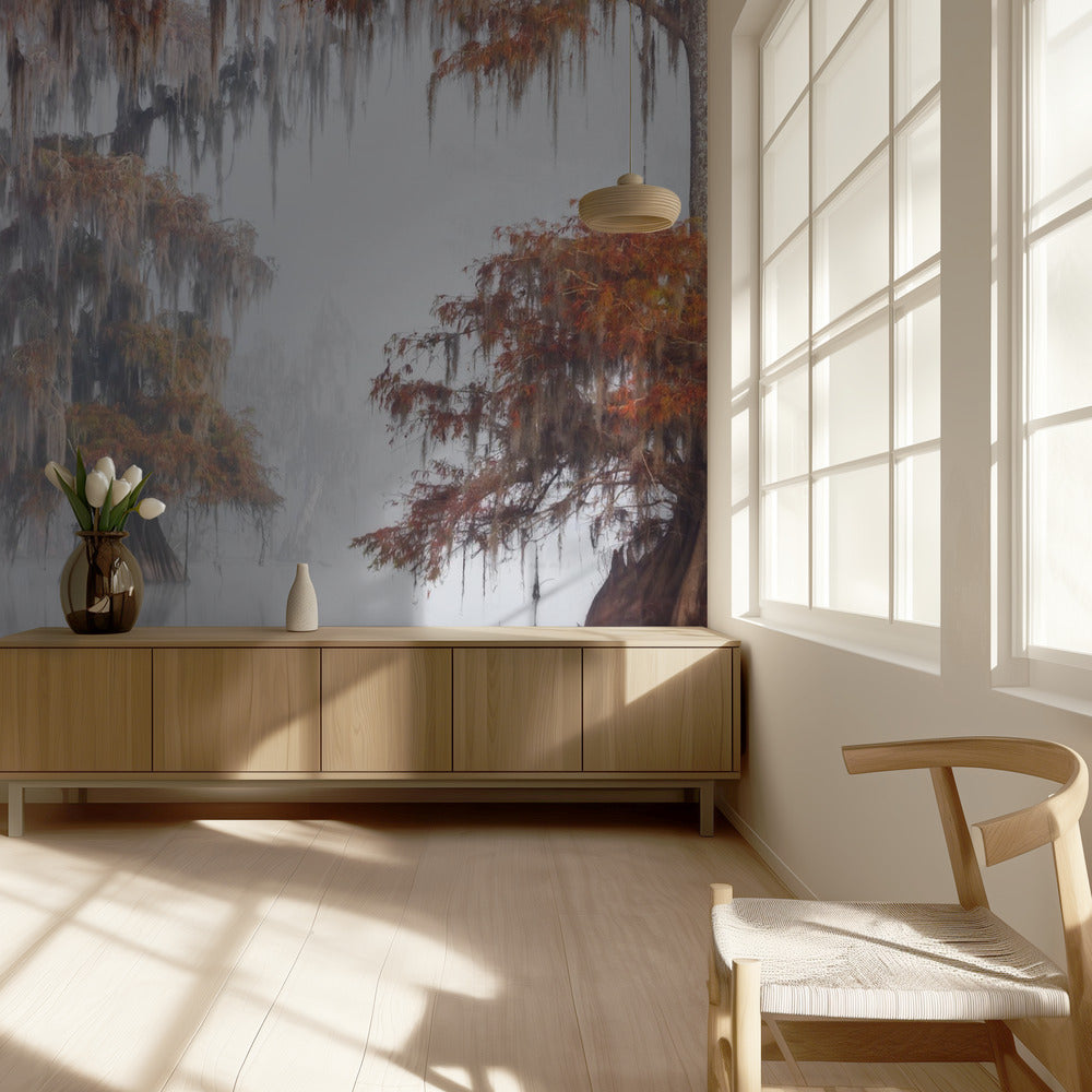 Mysty Bayou | Valokuvatapetit