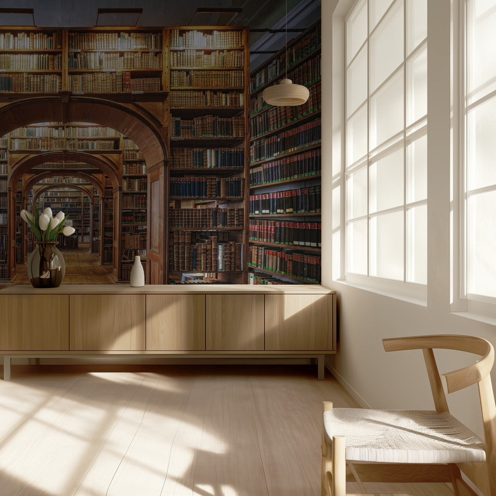 Övre Lausitzer vetenskapsbibliotek | Fototapet