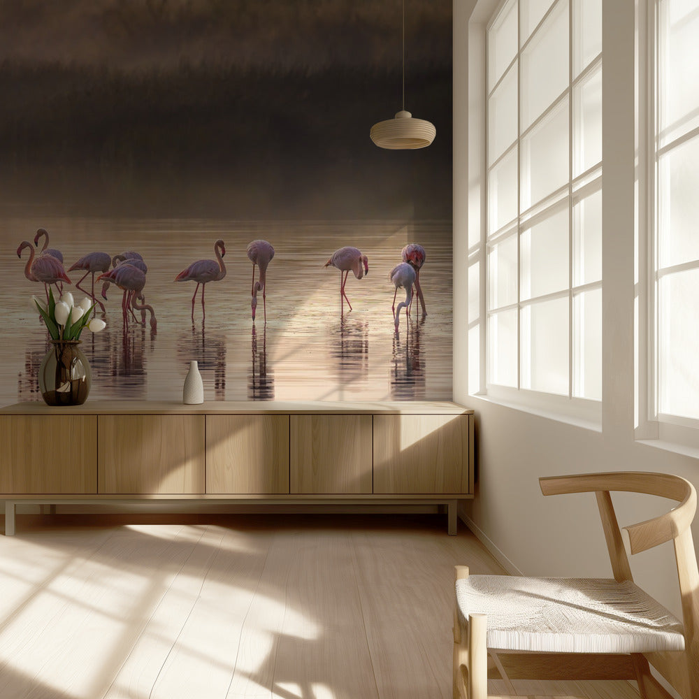 Fotografisk hyllning till Monet | Fototapet