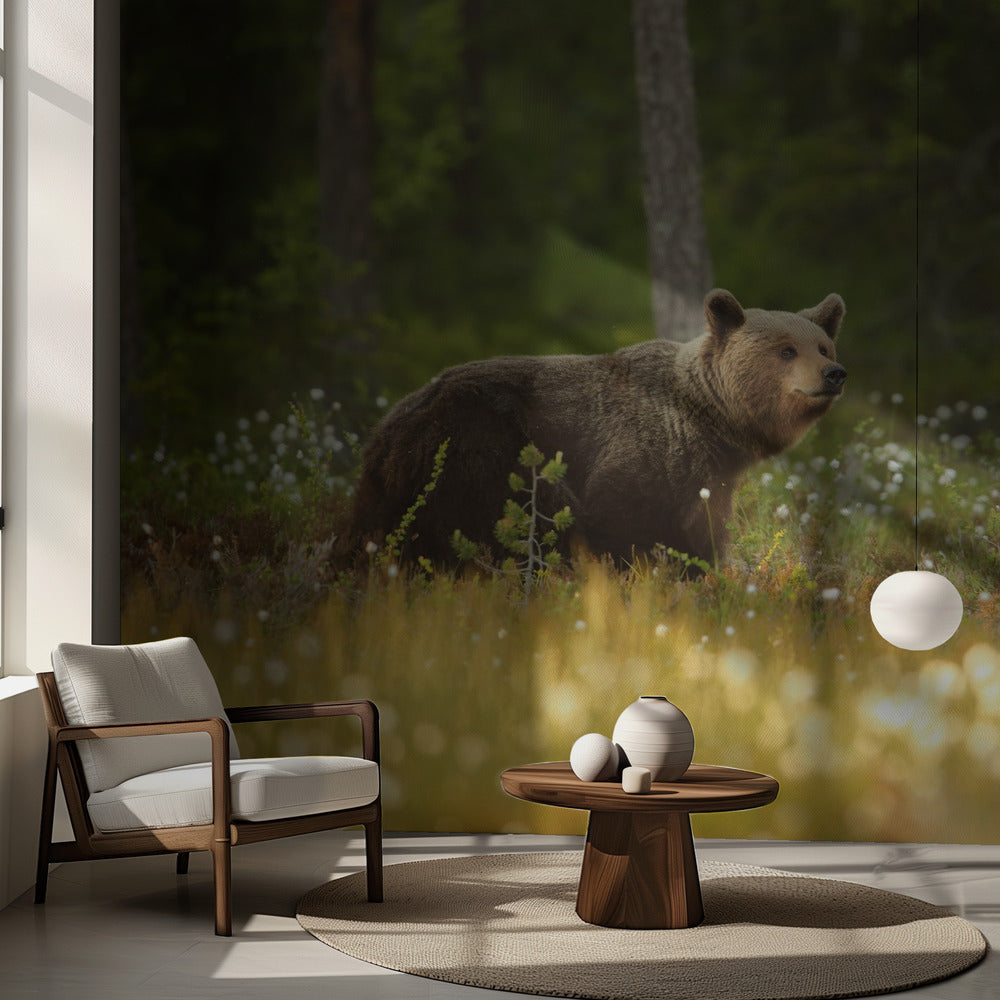 Ours brun | Papier Peint Photo