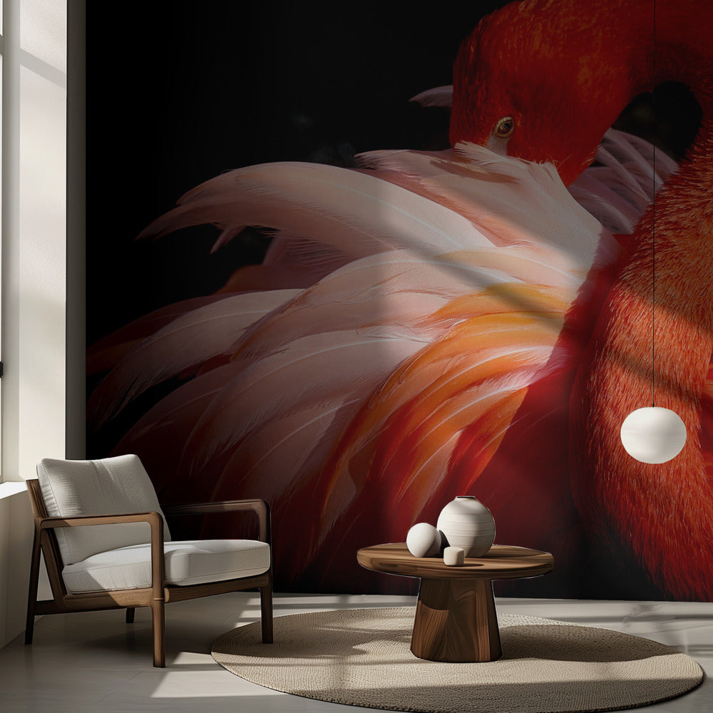 flamant rose | Papier Peint Photo
