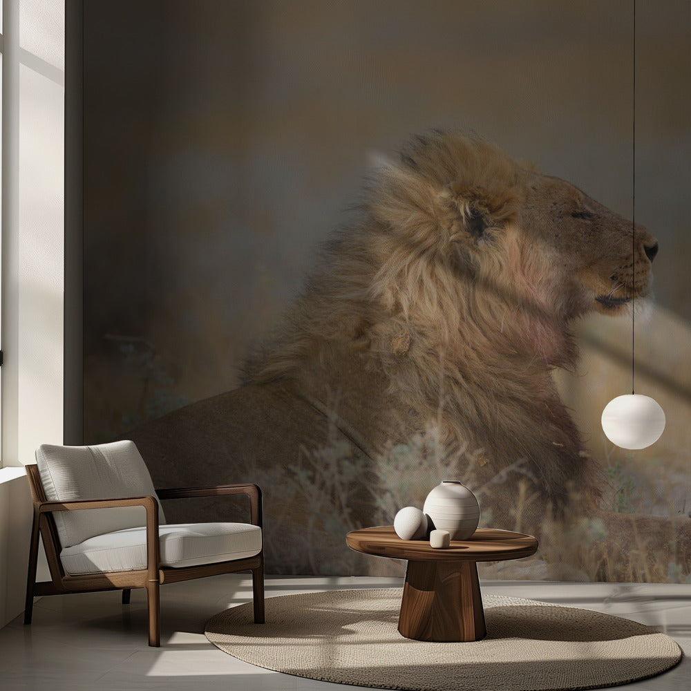 Lion mâle avec son petit | Papier Peint Photo