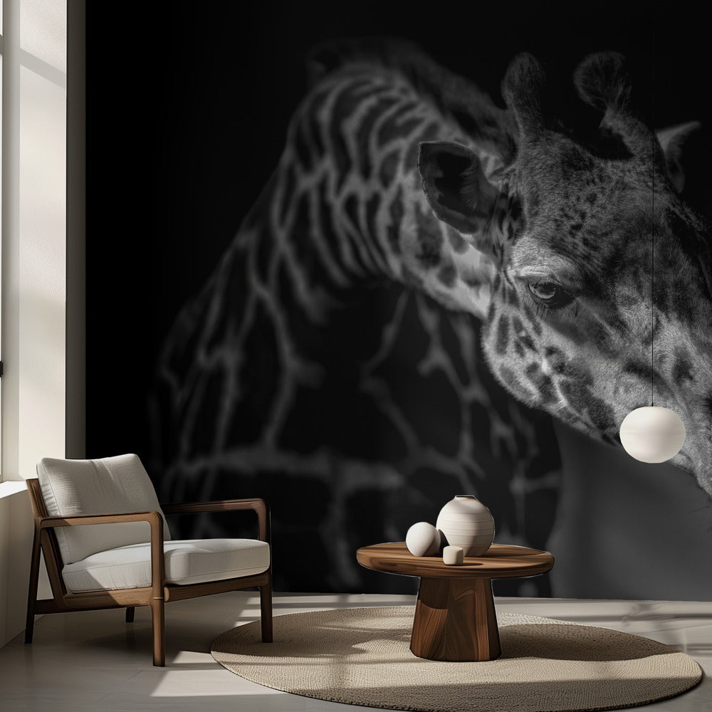 Jirafa | Papel Pintado Fotográfico