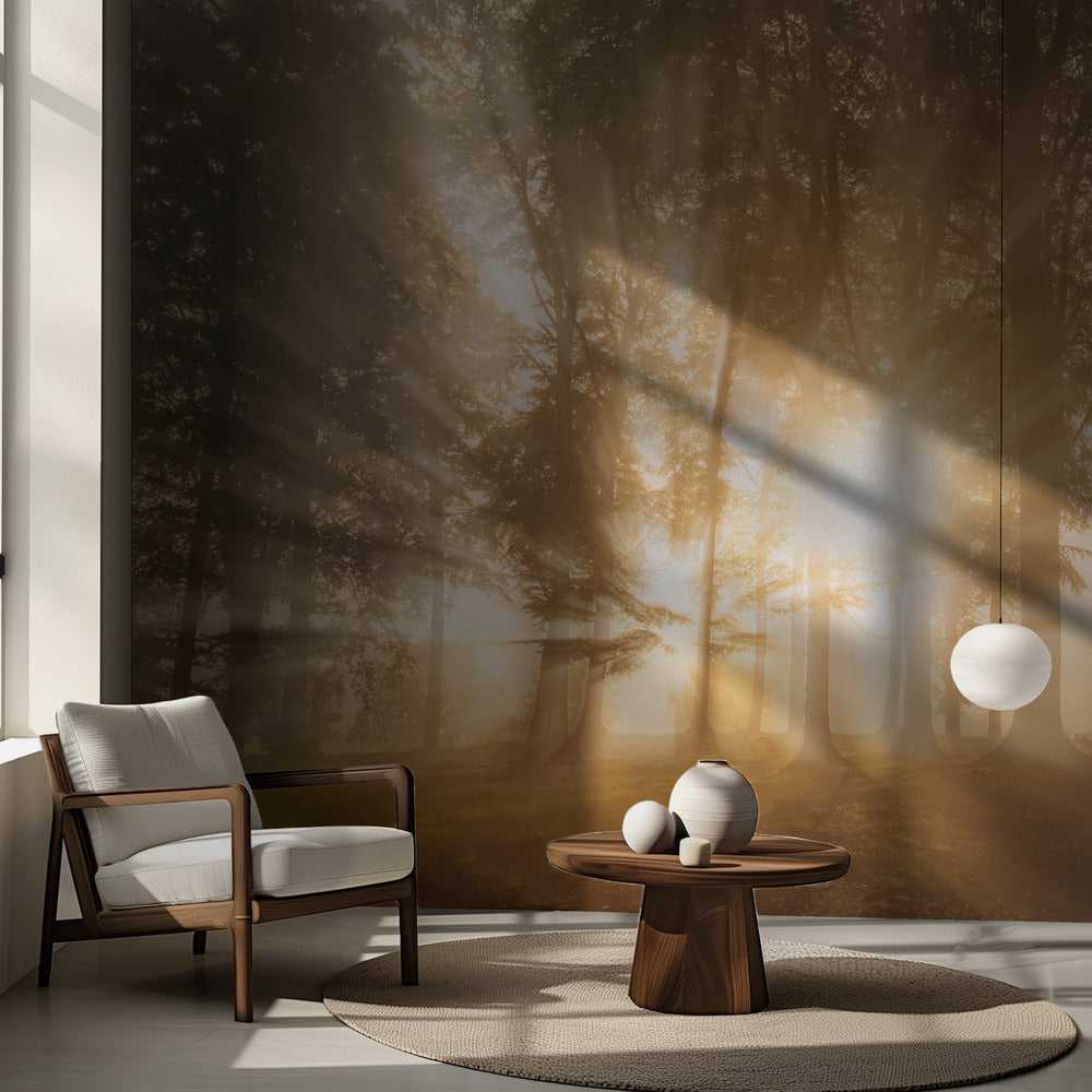 Verblind door het licht | Fotobehang