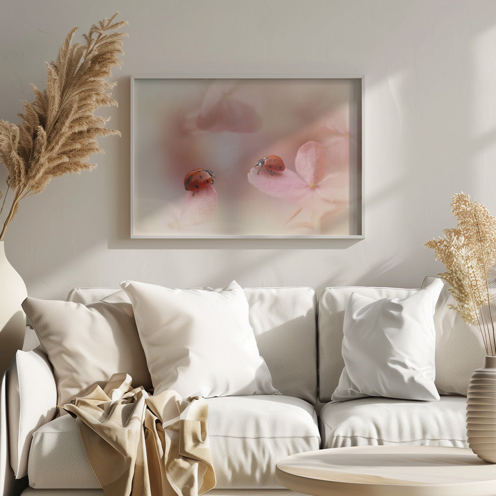 Coccinelles sur hortensia rose. | Posters - Affiche Artistique