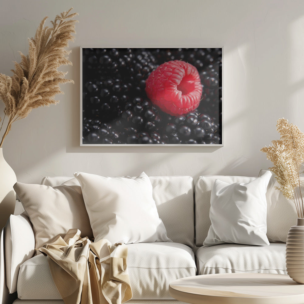 Baya diferente | Posters  - Impresiones de Arte