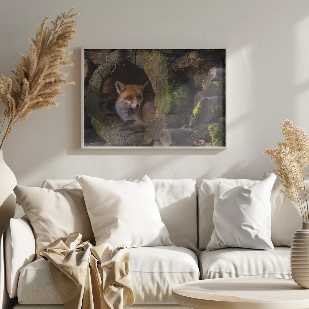 Fuchs | Poster - Kunstdruck