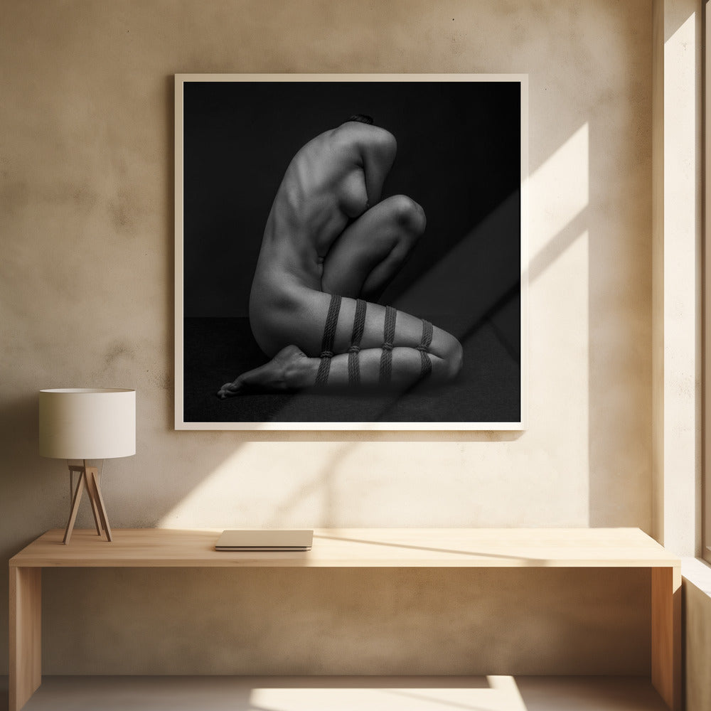 Förbehåll för villkor | Poster