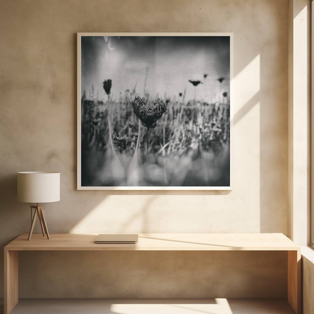 Wet Plate Photography Nature 4 | Poster